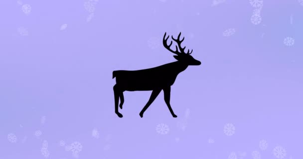 Černá Silueta Sobů Kráčejících Sněhových Vločkách Vznášejících Purpurovém Pozadí Vánoční — Stock video