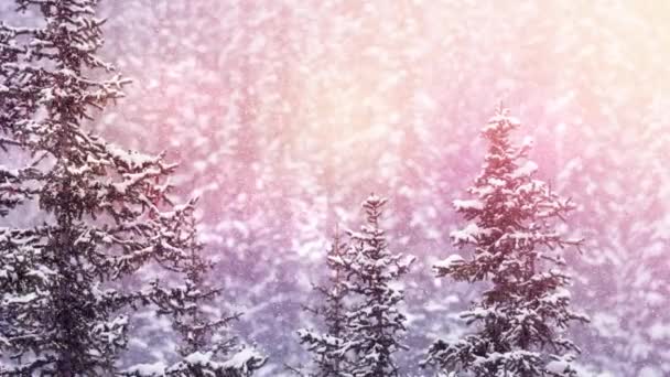 在冬季的景观中 光和雪的点点落在多棵树上 圣诞节的庆祝和庆祝概念 — 图库视频影像