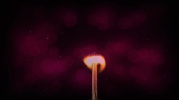茶点上闪烁着光芒的点燃蜡烛的动画 庆祝和传统概念数码制作的录像 — 图库视频影像