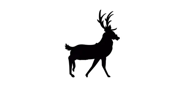 Digital Image Black Silhouette Reindeer Walking White Background Christmas Festivity — Stock Photo, Image