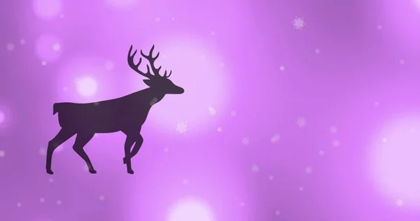 紫の背景に光のスポットに向かって歩くトナカイの黒いシルエットのデジタル画像 クリスマスお祝いの伝統的なコンセプト — ストック写真