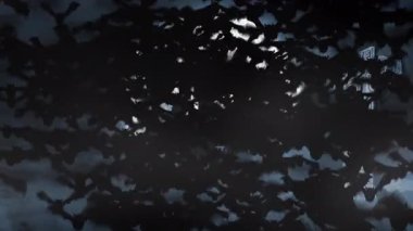 Kara arka planda cadılar bayramı metni, dolunay ve mezar animasyonu. Korku, korku, cadılar bayramı geleneği ve dijital olarak üretilen video konsepti.