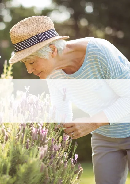 Witte Spandoek Met Kopieerruimte Tegen Senior Blanke Vrouw Die Bloemen — Stockfoto