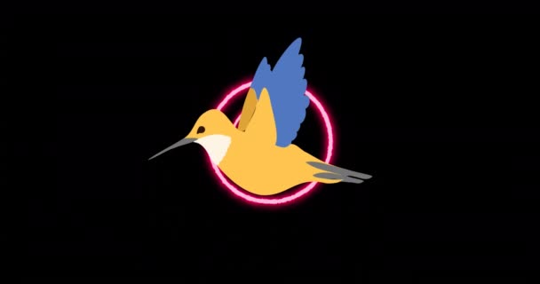 Animación Pájaro Sobre Círculos Neón Sobre Fondo Negro Naturaleza Patrón — Vídeo de stock