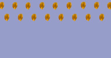 Mor arkaplandaki sonbahar sarı yapraklarının animasyonu. sonbahar, sonbahar, sezon, doğa, desen ve renk konsepti dijital olarak oluşturulmuş video.