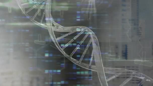 Animazione Del Filamento Del Dna Dell Elaborazione Dei Dati Sul — Video Stock