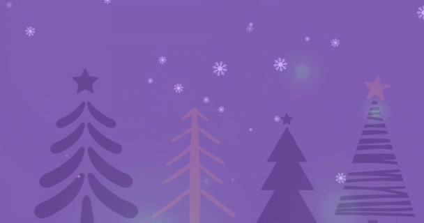 在黑暗的背景下 雪落在冷杉树上的动画 圣诞节 传统和庆祝概念数字制作的视频 — 图库视频影像