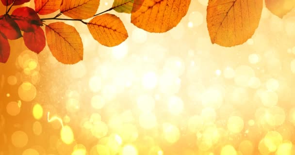 Анимация Осенних Листьев Над Светящимися Пятнами Света Заднем Плане Осень — стоковое видео
