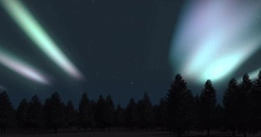 Kışın karla kaplı köknar ağaçlarının üzerinde parlayan aurora borealis animasyonu. kış, doğa, noel ve renk konsepti dijital olarak oluşturulmuş video.