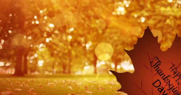 秋天风景上的叶子上的感恩文字的动画 美国假日 传统和庆祝的概念数字生成视频 — 图库视频影像