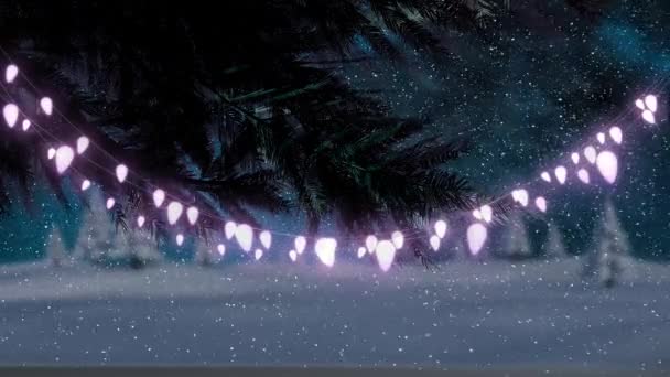 圣诞节灯火通明 雪花飘落在冬季的风景上 圣诞节 传统和庆祝概念数字制作的视频 — 图库视频影像