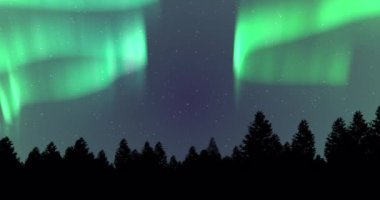 Kışın karla kaplı köknar ağaçlarının üzerinde parlayan aurora borealis animasyonu. kış, doğa, noel ve renk konsepti dijital olarak oluşturulmuş video.