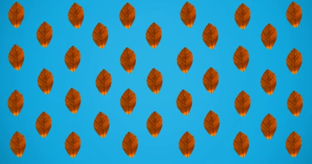 Animation Rows Autumn Orange Leaves Blue Background Autumn Fall Season — Stock Video