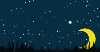 Gece gökyüzünde uçan yarasanın animasyonu. Cadılar bayramı geleneği ve dijital olarak oluşturulan kutlama konsepti.