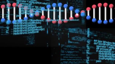 Siyah arkaplanda DNA ipliği üzerinde veri işleme animasyonu. küresel hesaplama, veri işleme, bağlantılar ve dijital arayüz konsepti dijital olarak oluşturulmuş video.