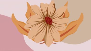 Grafik pembe arka planda turuncu çiçeğin animasyonu. kadın gücü, feminizm ve cinsiyet eşitliği konsepti dijital olarak oluşturulmuş video.