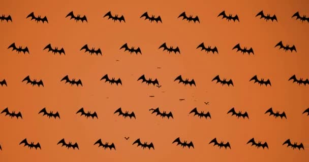 Animaiton Écriture Halloween Chauves Souris Flottant Sur Fond Orange Tradition — Video