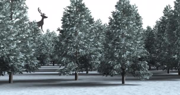 Animation Von Tannen Winterlicher Landschaft Weihnachten Tradition Und Festkonzept Digital — Stockvideo
