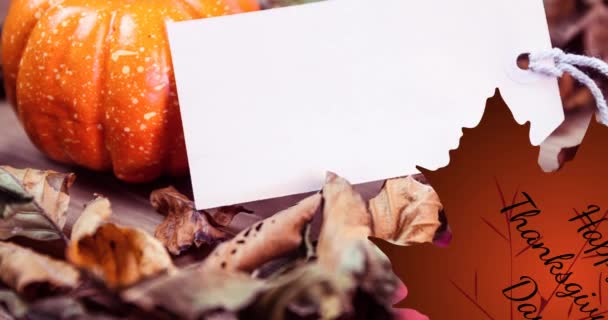 Animering Thanksgiving Text Över Vitt Kort Med Kopieringsutrymme Och Pumpa — Stockvideo