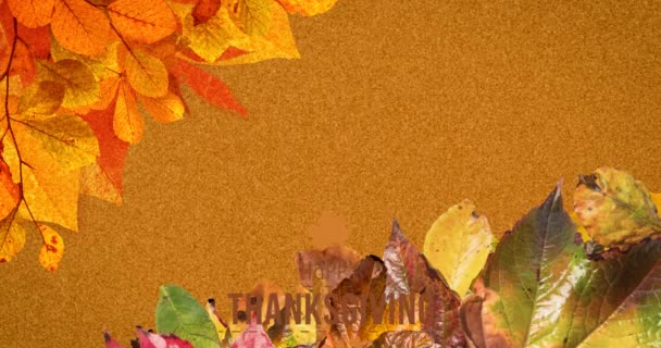 Animación Texto Acción Gracias Sobre Paisaje Hojas Otoño Vacaciones Americanas — Vídeos de Stock