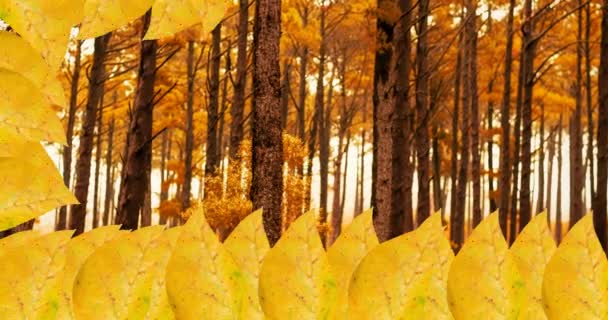 秋の森を背景に紅葉のアニメーション パターン 色の概念がデジタルで生成されたビデオ — ストック動画