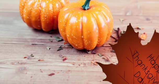 Animation Thanksgiving Text Leaf Pumpkins Wooden Surface American Holiday Autumn — Stock Video