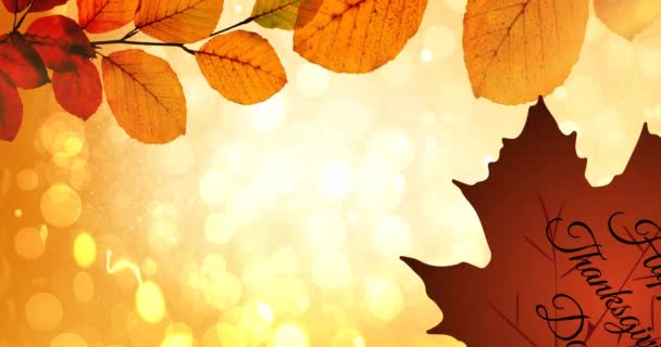 Animation Thanksgiving Text Leaf Autumn Scenery American Holiday Autumn Fall — Stock Video