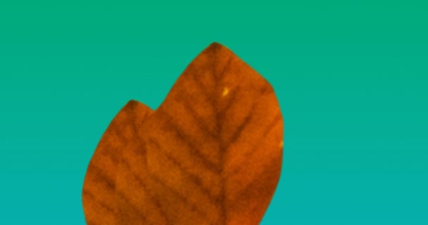 Animazione Foglie Autunno Arancioni Sfondo Verde Autunno Autunno Stagione Natura — Video Stock