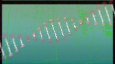 Veri işleme üzerinde DNA iplikçiklerinin ve dairelerin animasyonu. küresel bilim, veri işleme, bağlantılar ve dijital arayüz konsepti dijital olarak oluşturulmuş video.