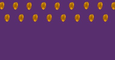 Mor arka planda birden fazla turuncu sonbahar yapraklarının animasyonu. mevsimler, sonbahar, sonbahar, renk ve doğa konsepti dijital olarak oluşturulmuş video.