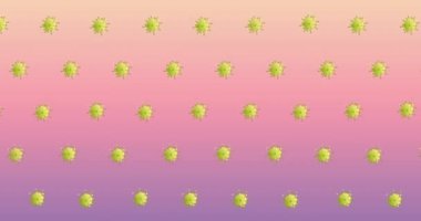 Pembe arka planda virüs hücrelerinin canlandırılması. Coronavirus covid 19 salgını sırasında tıbbi ve sağlık hizmetleri dijital olarak üretilen video konsepti.