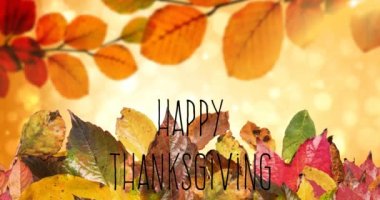Sonbahar yaprakları üzerindeki Şükran Günü mesajının animasyonu. Amerikan bayramı, sonbahar, sonbahar, gelenek ve kutlama konsepti dijital olarak oluşturulmuş video.