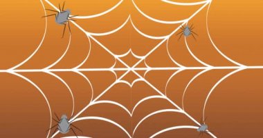 Örümcek ağı üzerinden Mutlu Cadılar Bayramı metni animasyonu. Cadılar bayramı geleneği ve dijital olarak oluşturulan kutlama konsepti.