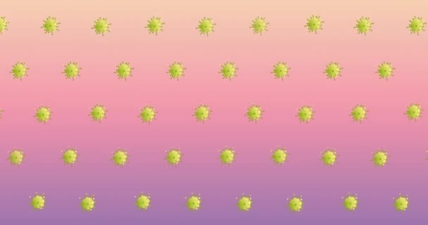 분홍색 배경에는 바이러스 세포의 애니메이션 코로나 바이러스가 유행하는 동안의 서비스와 — 비디오