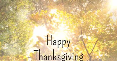 Mutlu Şükran Günü metninin animasyonu parktaki ağaçların üzerinde. mevsimler, sonbahar, sonbahar, renk ve doğa konsepti dijital olarak oluşturulmuş video.