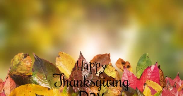 在秋天的落叶风景上 抒发着感恩的情怀 美国假日 传统和庆祝的概念数字生成视频 — 图库视频影像