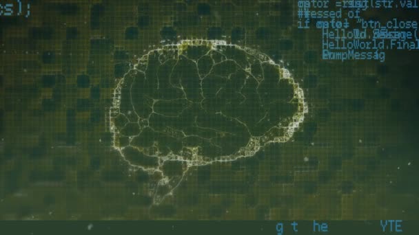 データ処理上のデジタル人間の脳のアニメーション グローバルな科学 データ処理 デジタルインターフェースの概念はデジタルで生成されたビデオ — ストック動画