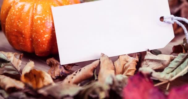 在南瓜和秋天的叶子上画上带有复制空间的白色标签 美国人的节日 感恩节 传统和庆祝活动的概念 — 图库视频影像