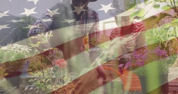 Animación Bandera Los Estados Unidos América Sobre Jardinería Afroamericana Padre — Vídeos de Stock