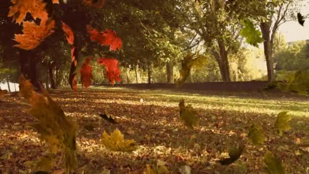 在树叶飘扬和停放时 友谊的文字被动画化了 自然与和谐概念数码视频 — 图库视频影像