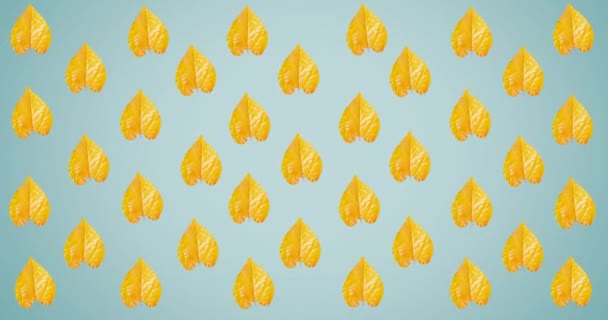 Анимация Рядов Осенних Желтых Листьев Синем Фоне Осень Осень Сезон — стоковое видео