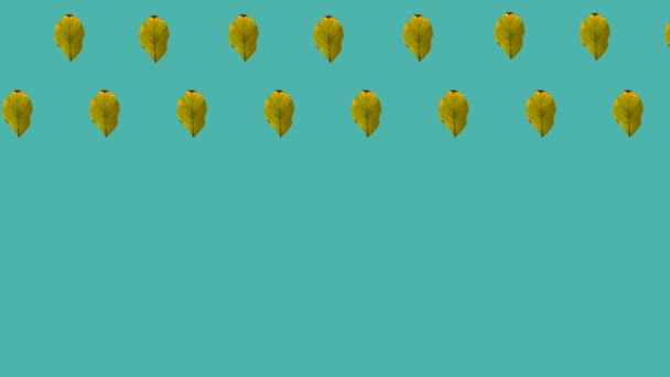 Анимация дружелюбного текста над зелеными осенними листьями на синем фоне — стоковое видео