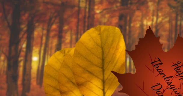 Animation Texte Joyeux Jour Action Grâces Sur Les Feuilles Automne — Video