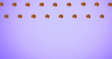 Mor arkaplandaki sonbahar portakal yapraklarının animasyonu. sonbahar, sonbahar, sezon, doğa, desen ve renk konsepti dijital olarak oluşturulmuş video.