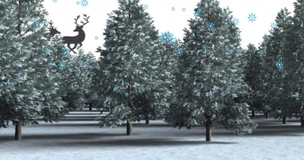 Animatie Van Dennenbomen Het Winterlandschap Kerstmis Traditie Viering Concept Digitaal — Stockvideo