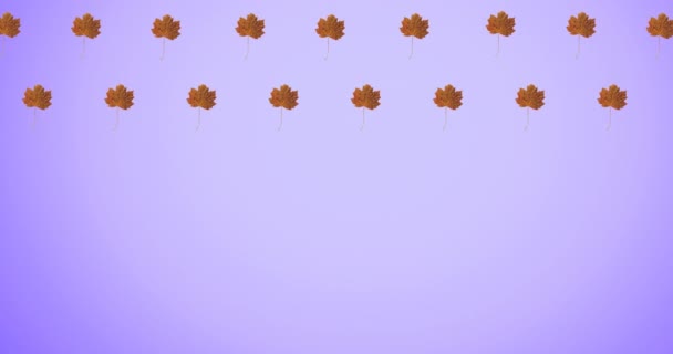 Animation Von Reihen Herbstlich Orangefarbener Blätter Auf Violettem Hintergrund Herbst — Stockvideo