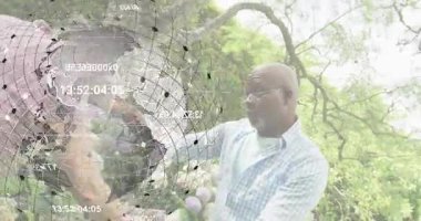 Kadın sağlık için üzüm sunuyor, erkek meyve tadıyor sonra akıllı telefon ekranını kaydırıyor, el sıkışıyor. Organik, etkileşim, boş zaman, açık hava, neşeli, doğa, iletişim