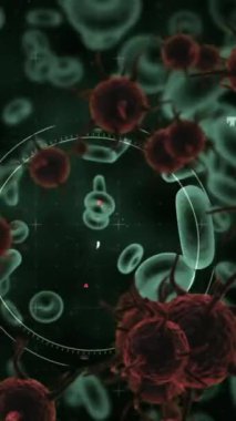 Kan hücreleri ve ekran 4k dijital arayüzü ile ekranda hareket eden virüs hücrelerinin dijital animasyon