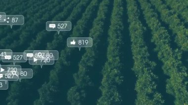 Hava görüntüsü açılıyor. Meyve bahçesi sıralarının üzerinde beliren simgeler yükselişi göstermek için yayılıyor. Tarım, yenilik, teknoloji, dron, analitik, kırsal, büyüme