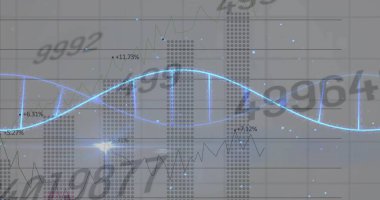 Gri şebeke üzerinde titreşen neon-mavi dalga biçimi gösteriliyor, noktalı çizgiler, çizgiler, yüzdeler, sayılar. Veri görselleştirme, dijital analiz, fütüristik grafik, finansal teknoloji, soyut tablo